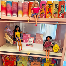 Load image into Gallery viewer, Let's Call Her Barbie / Book Box or Bundle - Milestones & Moments for Grown-Ups (Starting at $19!)