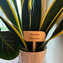 Load image into Gallery viewer, Plant Marker Stakes - Character Traits / MR. WOODWORKS