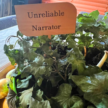 Load image into Gallery viewer, Plant Marker Stakes - Character Traits / MR. WOODWORKS