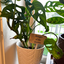 Load image into Gallery viewer, Plant Marker Stakes - Character Traits / MR. WOODWORKS