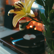 Load image into Gallery viewer, Rock 'N' Roll Book Talk / Mix & Mingle Event for Grown-Ups