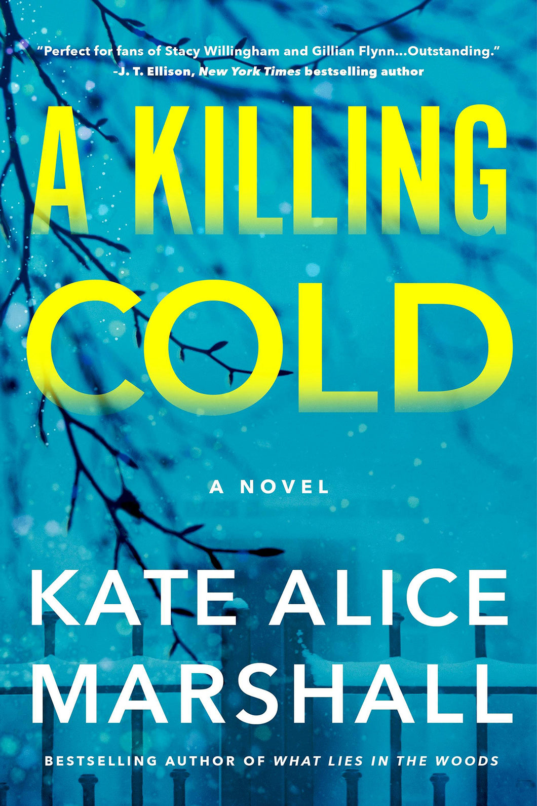 A Killing Cold by Kate Alice Marshall / BOOK OR BUNDLE - Starting at $29!