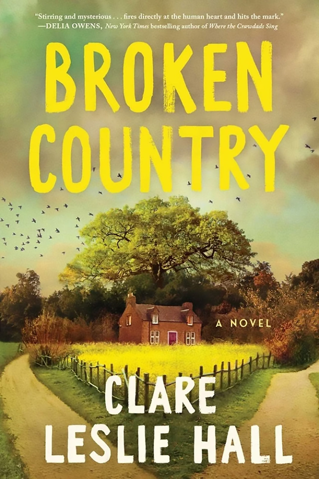 Broken Country by Clare Leslie Hall / BOOK OR BUNDLE - Starting at $29!
