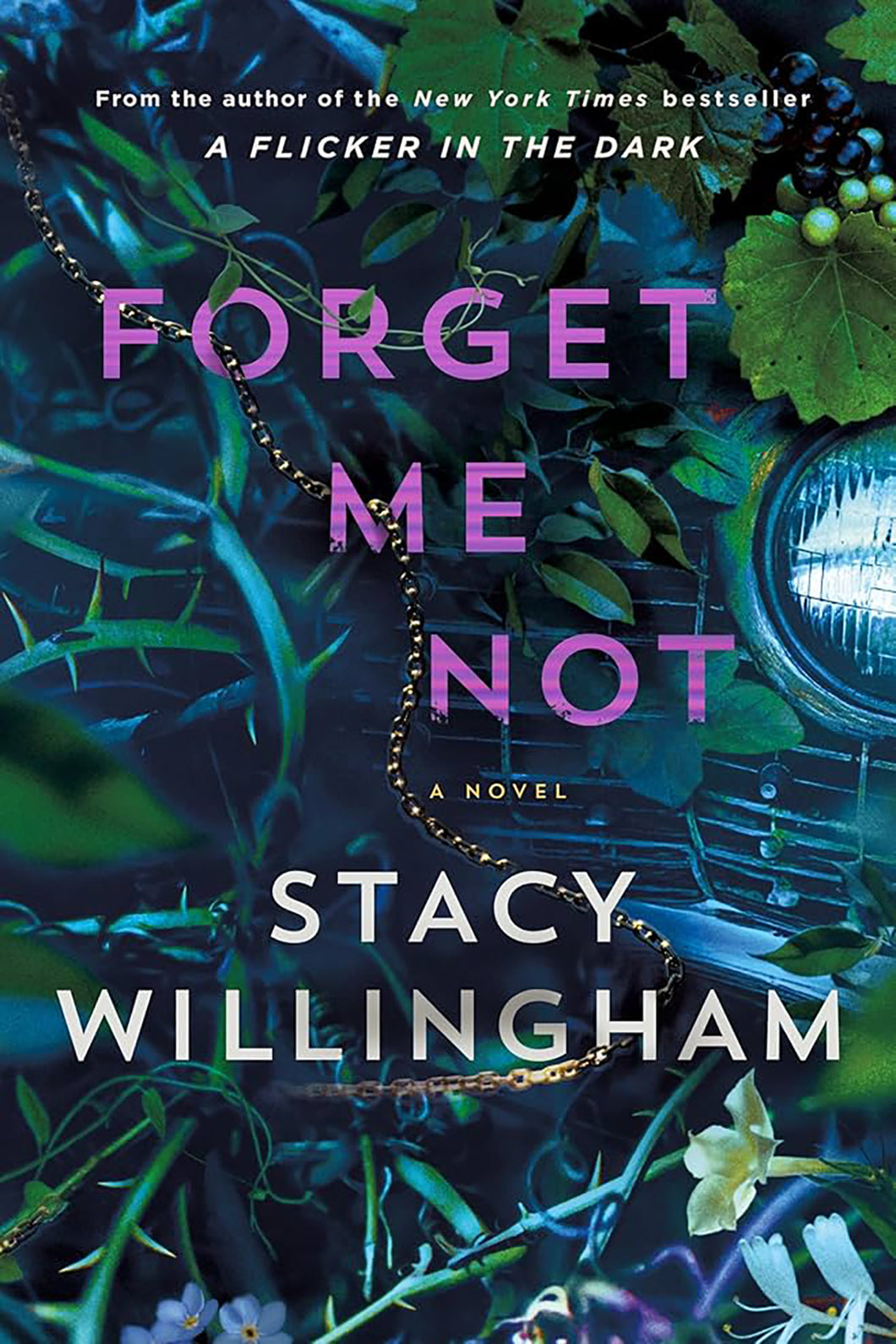 Forget Me Not by Stacy Willingham / PRE-ORDER FOR 8/26