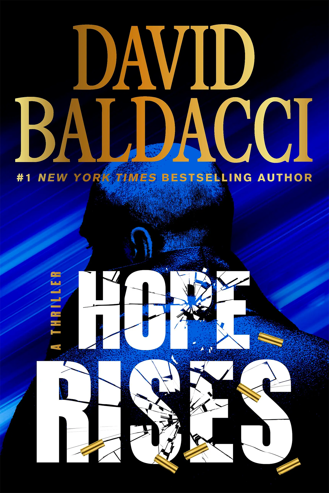Hope Rises by David Baldacci / BOOK OR BUNDLE - Starting at $32! – New ...