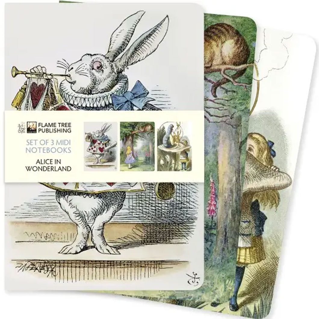 Notebooks Journals - Alice in Wonderland - Set of 3 / TEXAS BOOKMAN