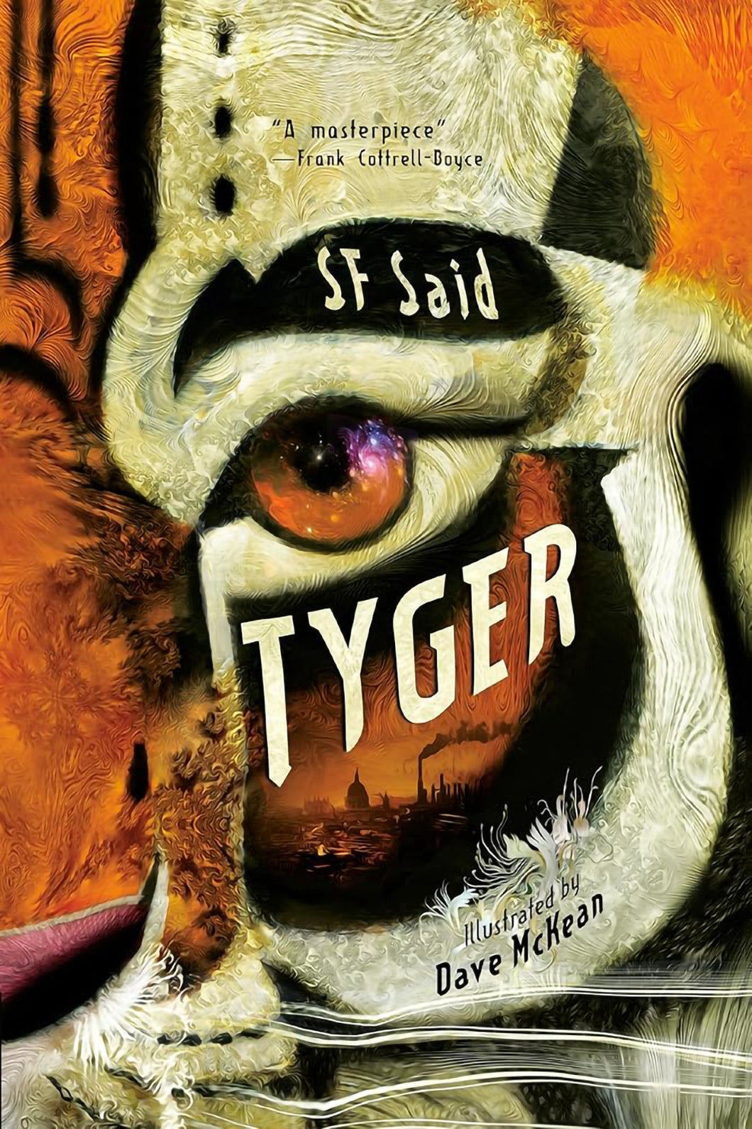 Tyger by SF Said & Dave McKean / Hardcover or Paperback - NEW BOOK