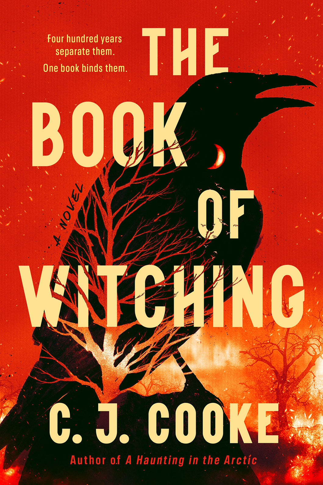 The Book of Witching by C. J. Cooke / BOOK OR BUNDLE - Starting at $19!