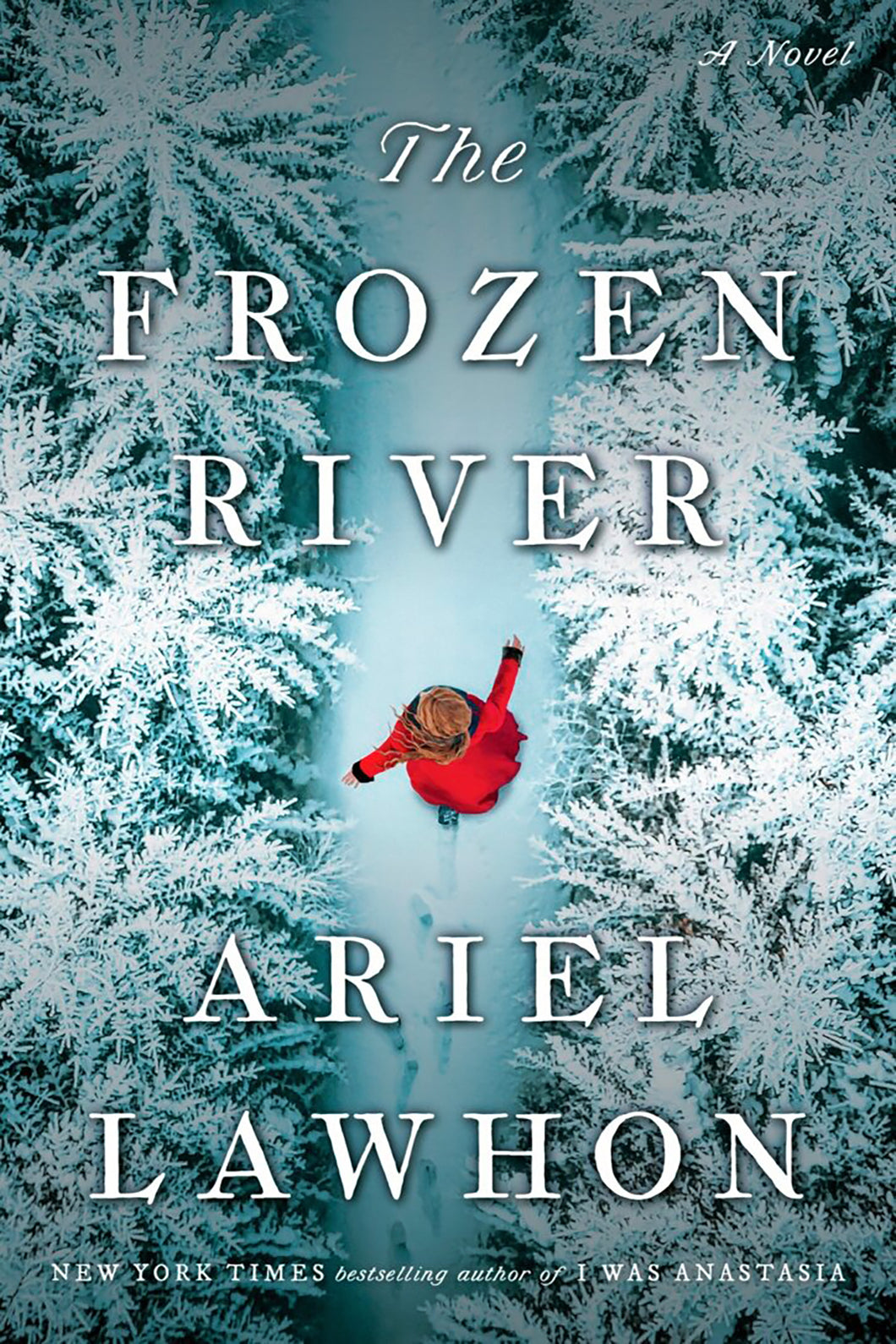 The Frozen River by Ariel Lawhon / BOOK OR BUNDLE - Starting at $18!