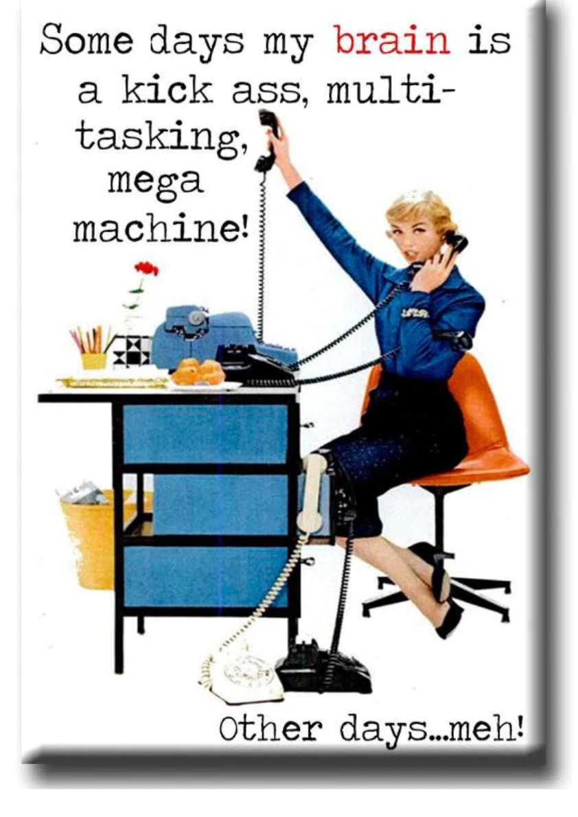 Fridge Magnet  / FLY PAPER PRODUCTS