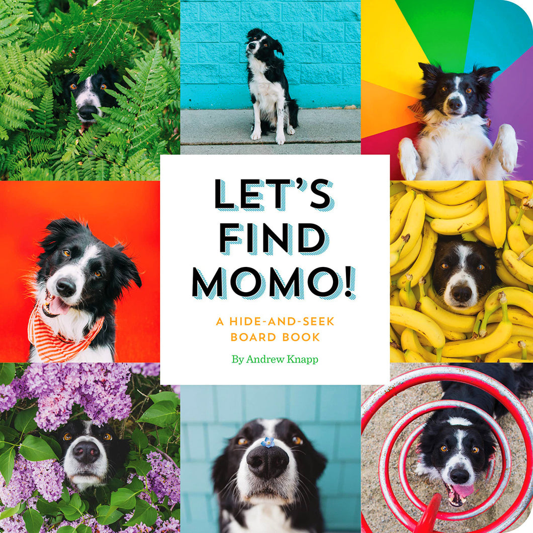 Let's Find Momo!: A Hide-And-Seek Board Book by Andrew Knapp / Hardcover - NEW BOOK